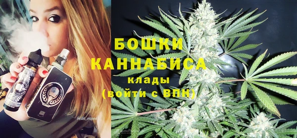винт Няндома