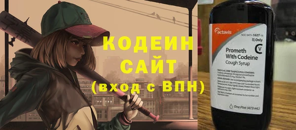 винт Няндома