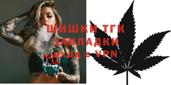 винт Няндома