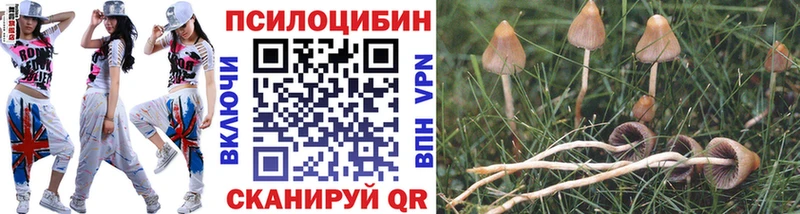 Псилоцибиновые грибы Magic Shrooms  сколько стоит  Котельники 