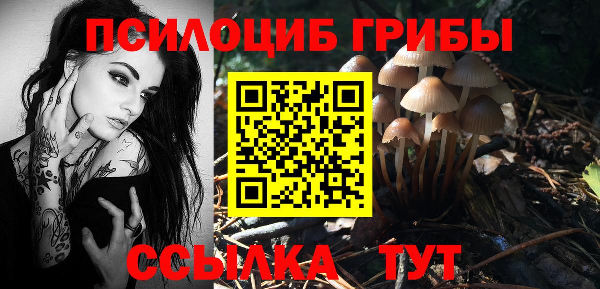 Псилоцибиновые грибы ЛСД Котельники