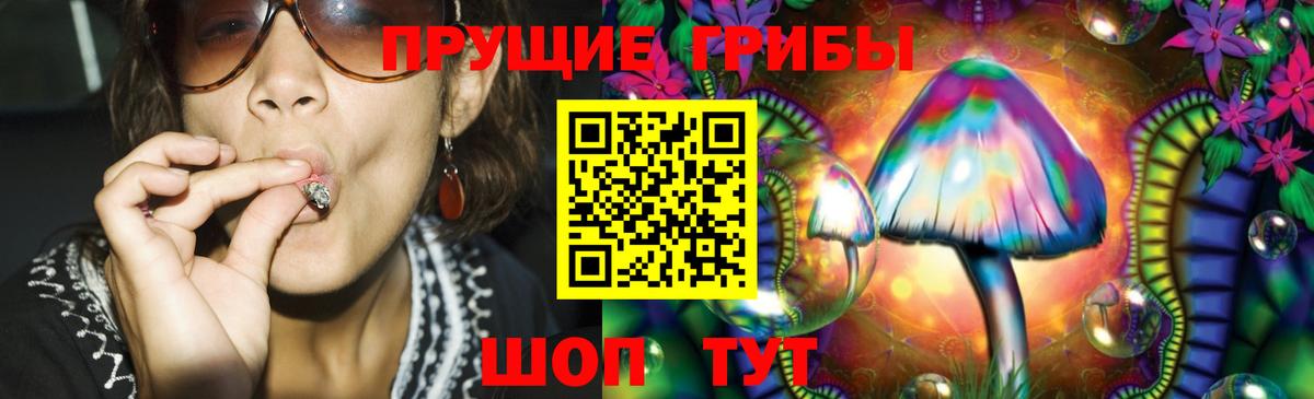 Галлюциногенные грибы прущие грибы  Вход с VPN  Псилоцибиновые грибы Psilocybine cubensis  Котельники 
