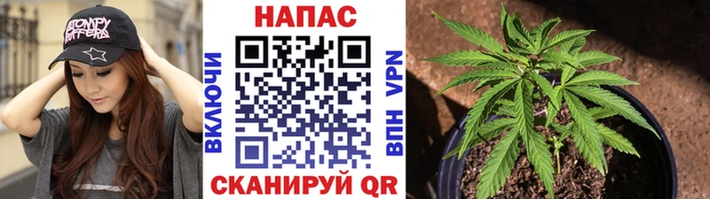 hydra маркетплейс  Котельники  Бошки марихуана Bruce Banner 